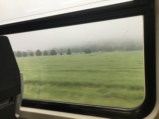 Ein Zugfenster, dahinter Wiese, Bäume, Nebel